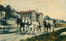 Horses towing a canal boat through Lyons, N.Y.
