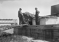 Lowering a mule into the bow of a canal boat