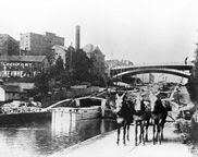 Photo of canal with harnessed horses in foreground in Lockport, N.Y.