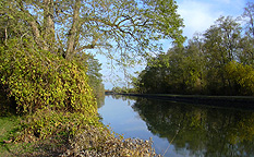 View of the Grand Embankment over the Irondequoit Creek valley