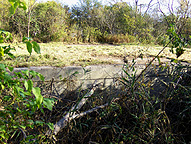 Enlarged Erie Canal Lock No. 50 - midsection of the north wall of the south 
          chamber