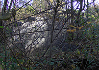 Enlarged Erie Canal Lock No. 50 - Eastern end of the north wall of the south 
          chamber