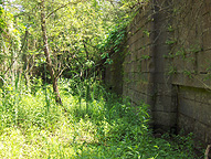 Erie Canal Lock No. 53 at Clyde, N.Y. - eastern end, north chamber