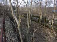 Remains of Enlarged Erie Canal Lock no. 18, 2023