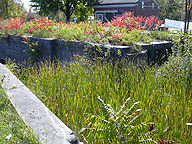 Erie Canal Lock No. 56 at Lyons - north chamber, western end