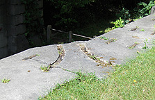 Erie Canal Lock No. 62 at Pittsford - grooves for the door hinge hardware