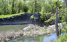 Lock No. 29 at Fort Hunter, N.Y.