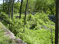 Lock No. 29 at Fort Hunter, N.Y.