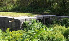 Erie Canal Lock 33, western end, looking southeast